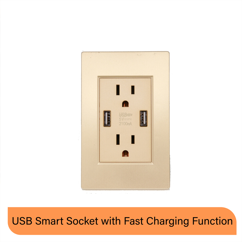 US Standard 2 USB Gold Socket for Wall Outlet